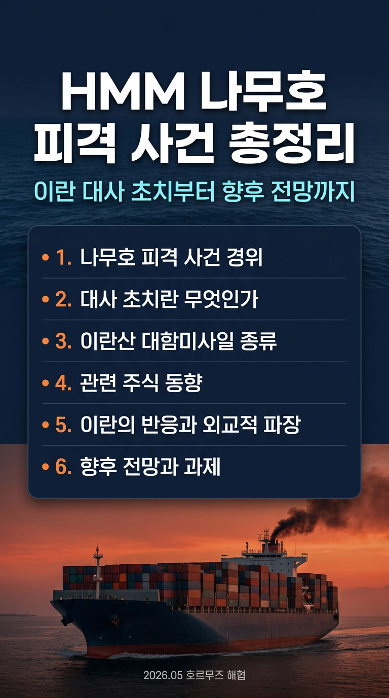 나무호 피격 항의, 이란 대사 초치, 뜻, 반응, 대함 미사일 종류, 관련주, 향후 전망