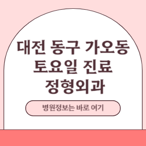 대전 동구 가오동 토요일 정형외과 진료 병원