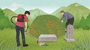 벌초대행 가격비교