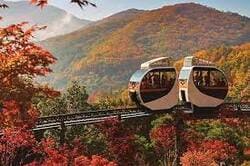 2024 화담숲 모노레일 예약방법 가을 단풍