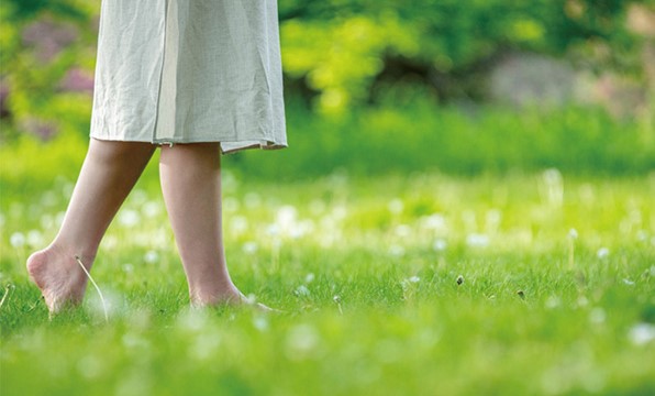 순천만 국제 정원 박람회