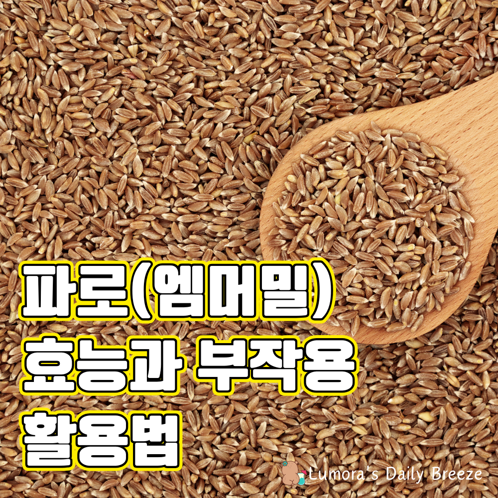 파로(엠머밀)의 효능과 부작용, 활용법