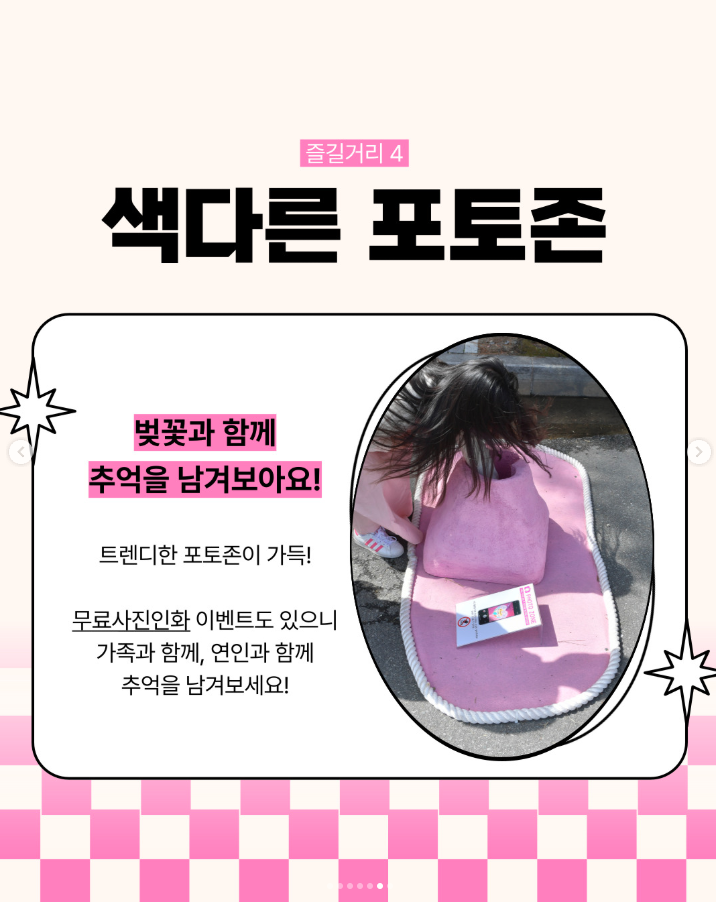 경주 벚꽃 축제