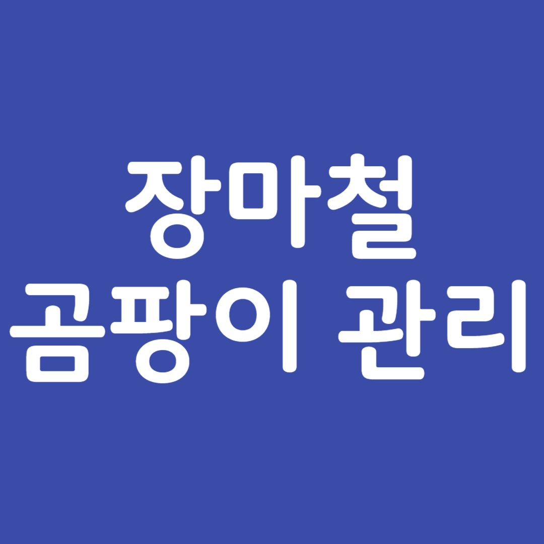 장마철 곰팡이 관리법