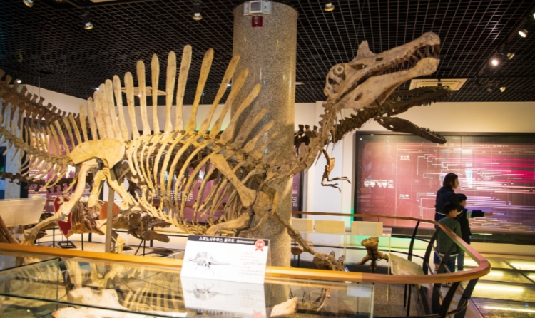 안면도 쥬라기박물관