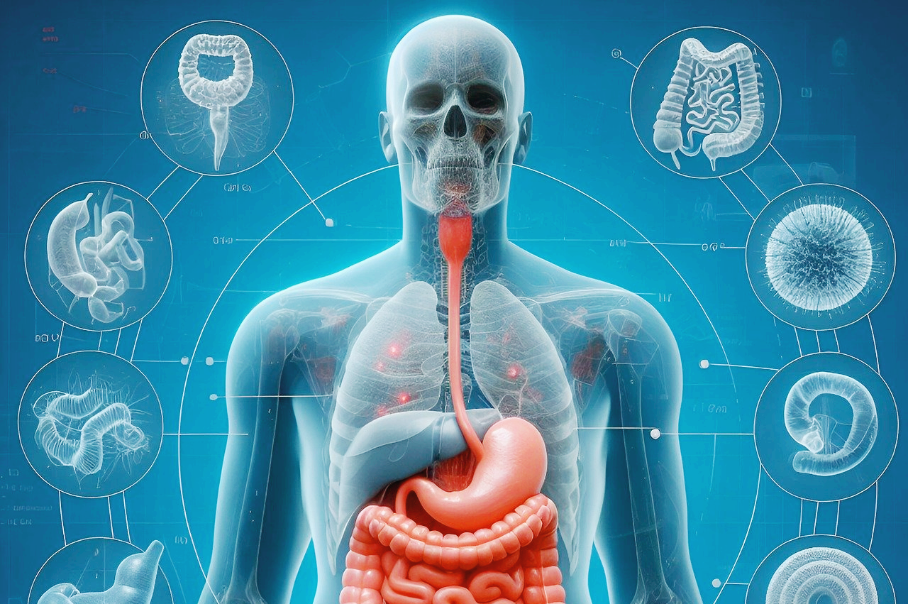 역류성 식도염 증상