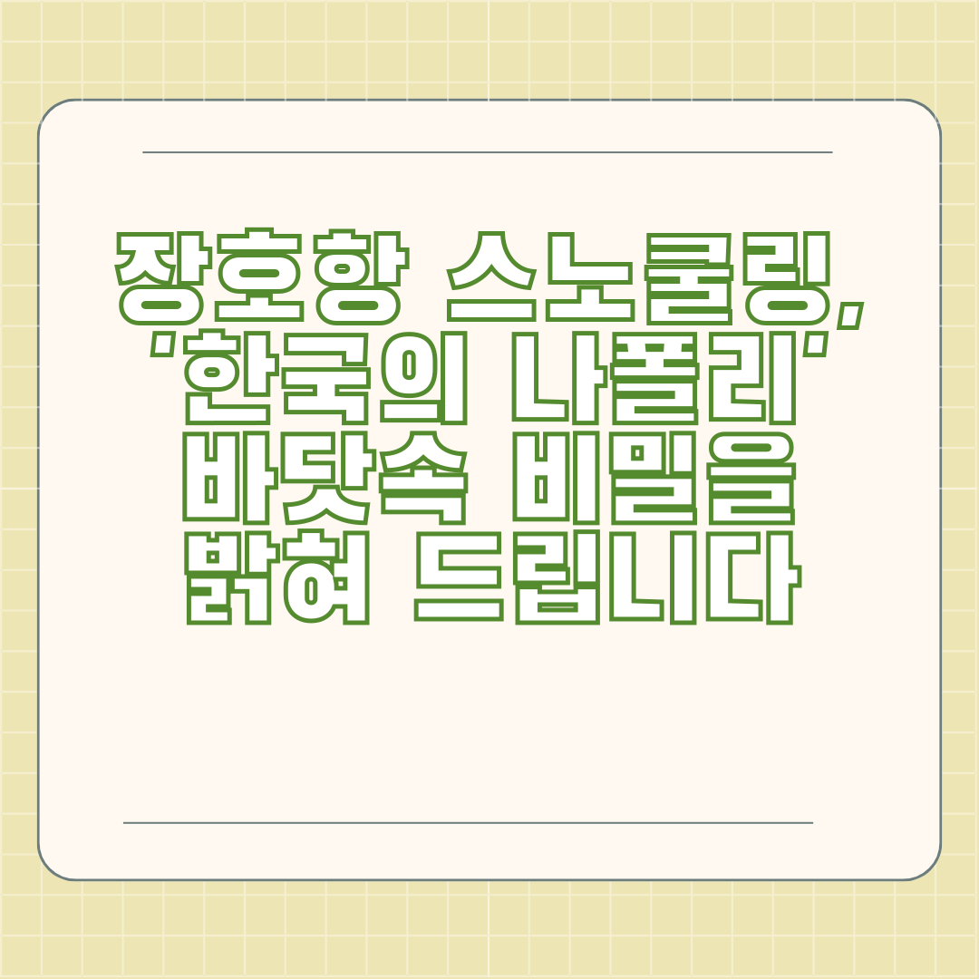 장호항 스노쿨링, '한국의 나폴리' 바닷속 비밀을 밝혀 드립니다 장호항 스노쿨링, '한국의 나폴리' 바닷속 비밀을 밝혀 드립니다