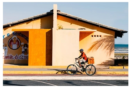 직업의 몰락과 변화