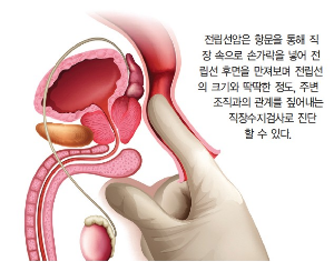 무료보청기신청