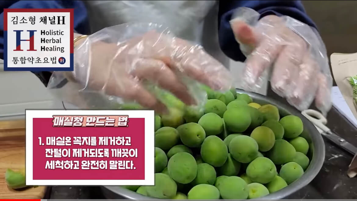 김소형 매실청 담그는 법