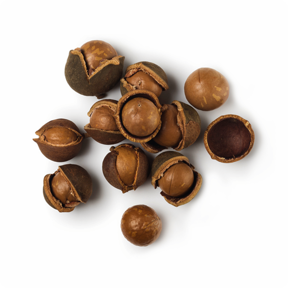 마카다미아의-효능