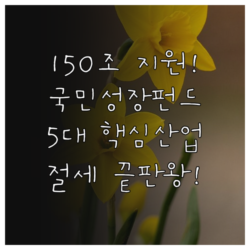 국민성장펀드 150조 원 지원 정책 ..