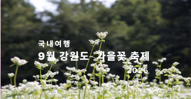 9월 강원도 가을꽃 축제