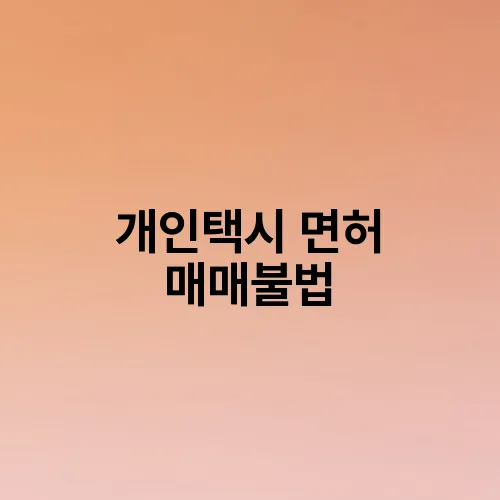 개인택시 면허 매매불법