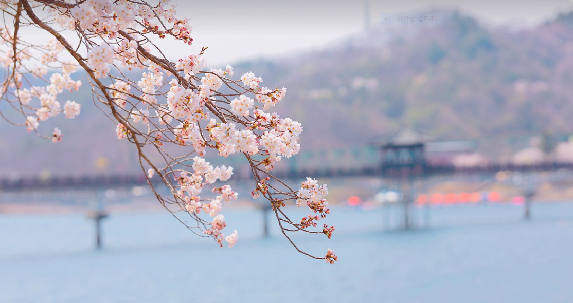 안동시