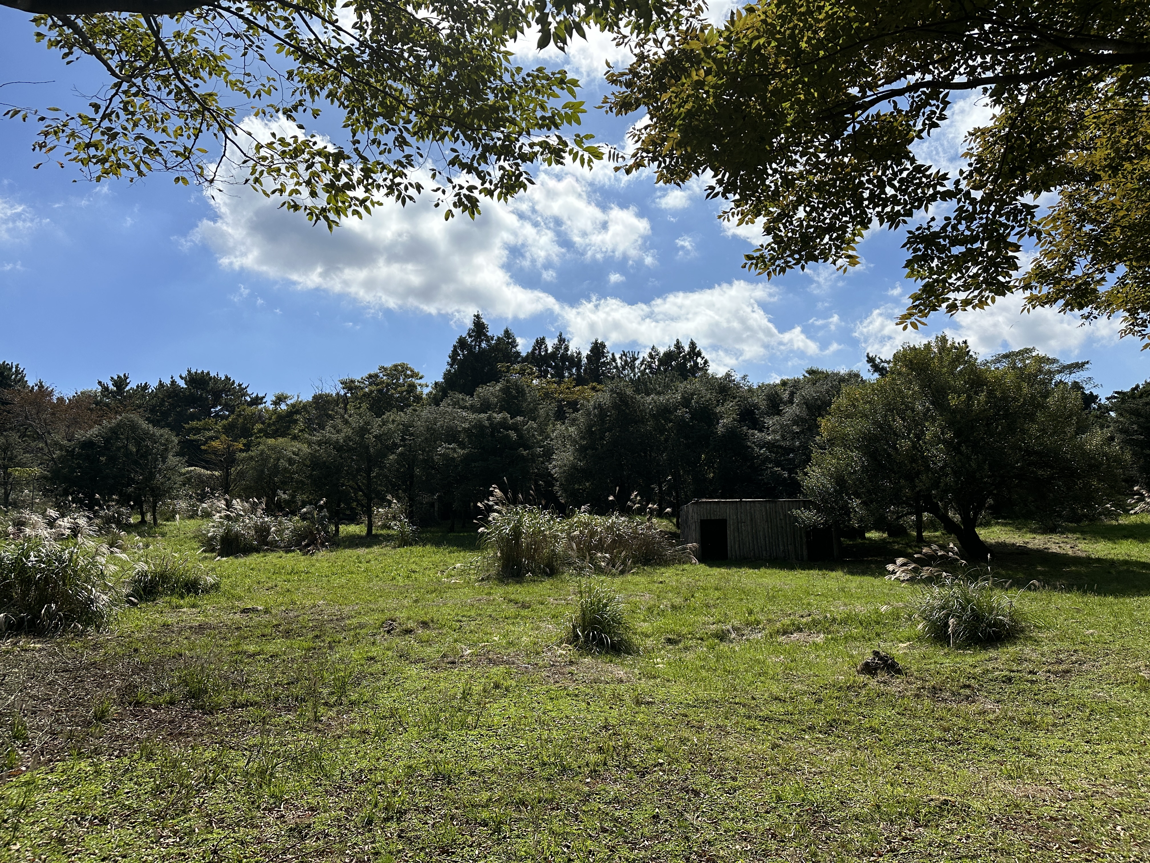 노루생태관찰원