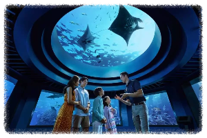 S.E.A 아쿠아리움