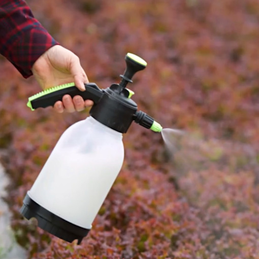 김일호 왕잘커 식물 영양제