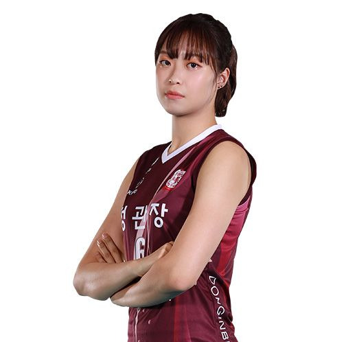 원더독스 2기 선수 13명 프로필 총정리｜인쿠시&middot;지민경&middot;김다솔&middot;하효림&middot;채선아 나이&middot;키&middot;학력&middot;전 소속팀