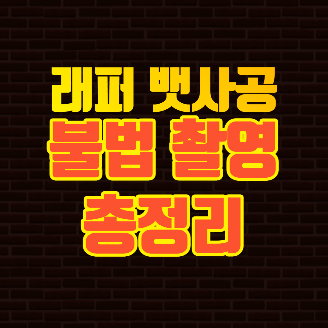 뱃사공 불법촬영 논란