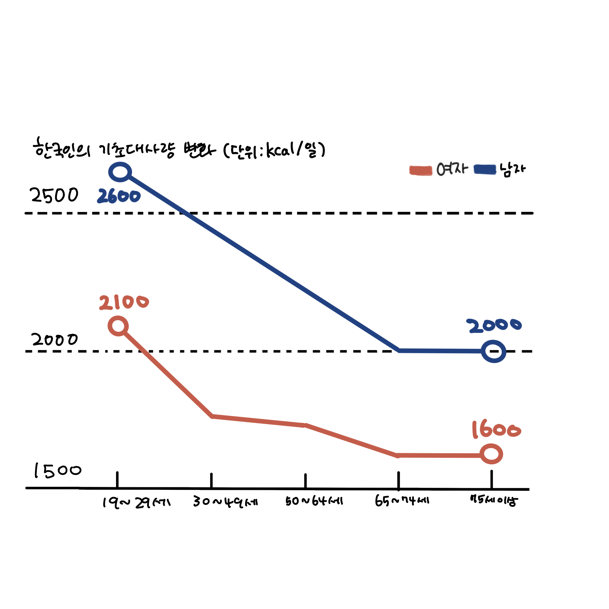 한국인의 연령별 기초대사량 변화 그래프