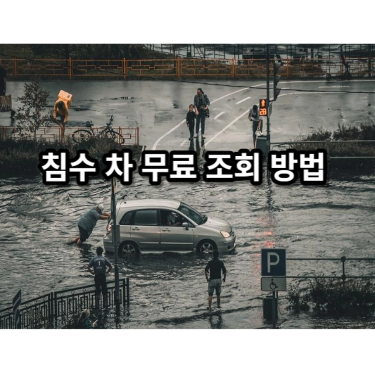 침수 차 무료 조회 방법