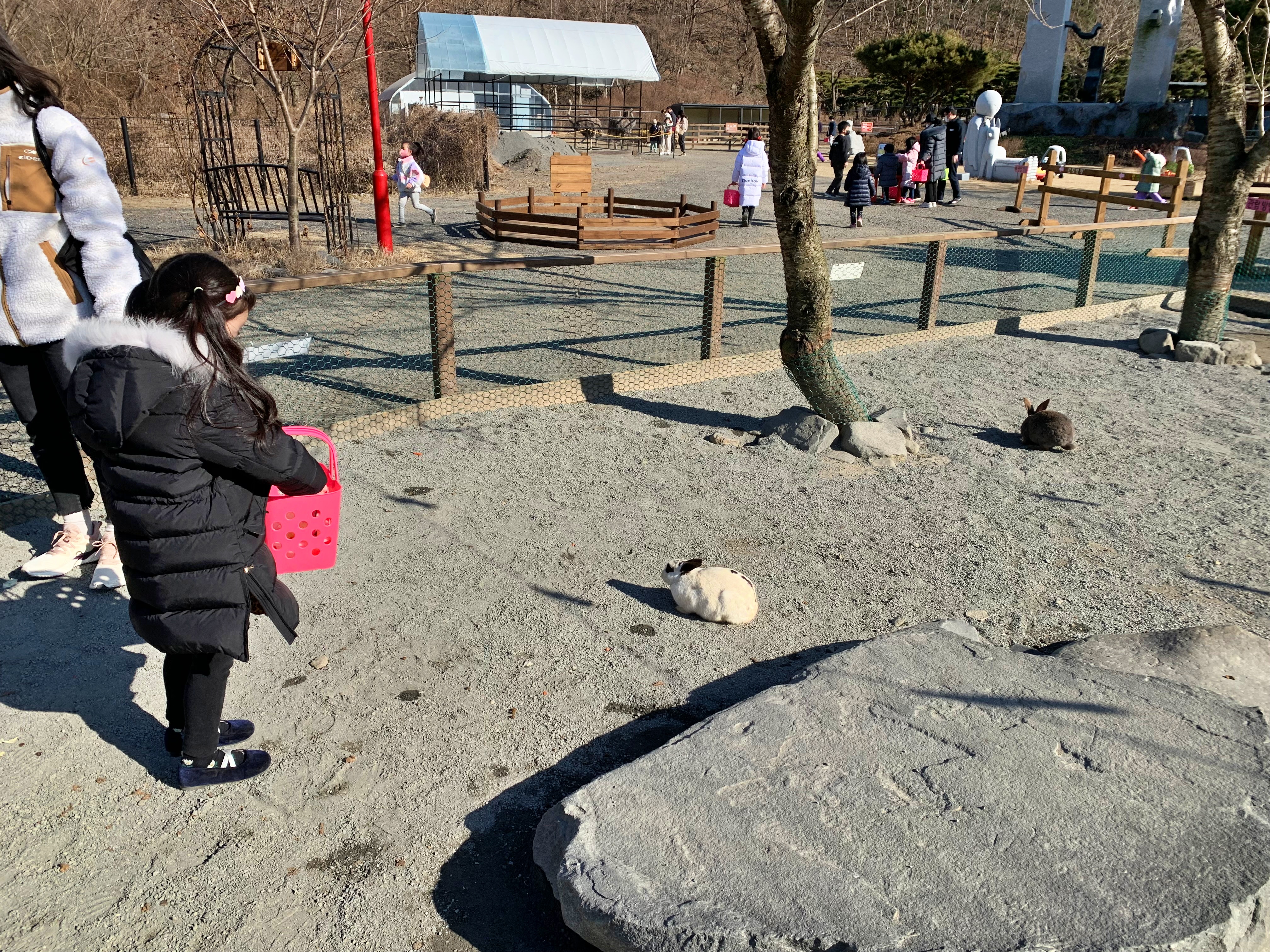 바둑이네 동물원 토끼 우리
