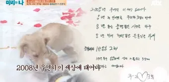 은혼식 축하 인사 가족 편지 멘트 세월을 담은 문장 모음_4