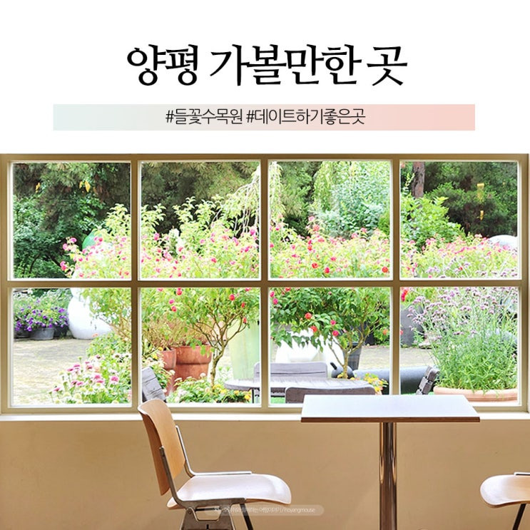 들꽃수목원 사진입니다.