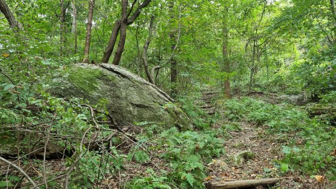 숲속, 산길에 큰 바위,