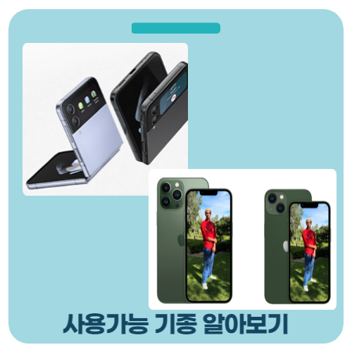 듀얼심-기종