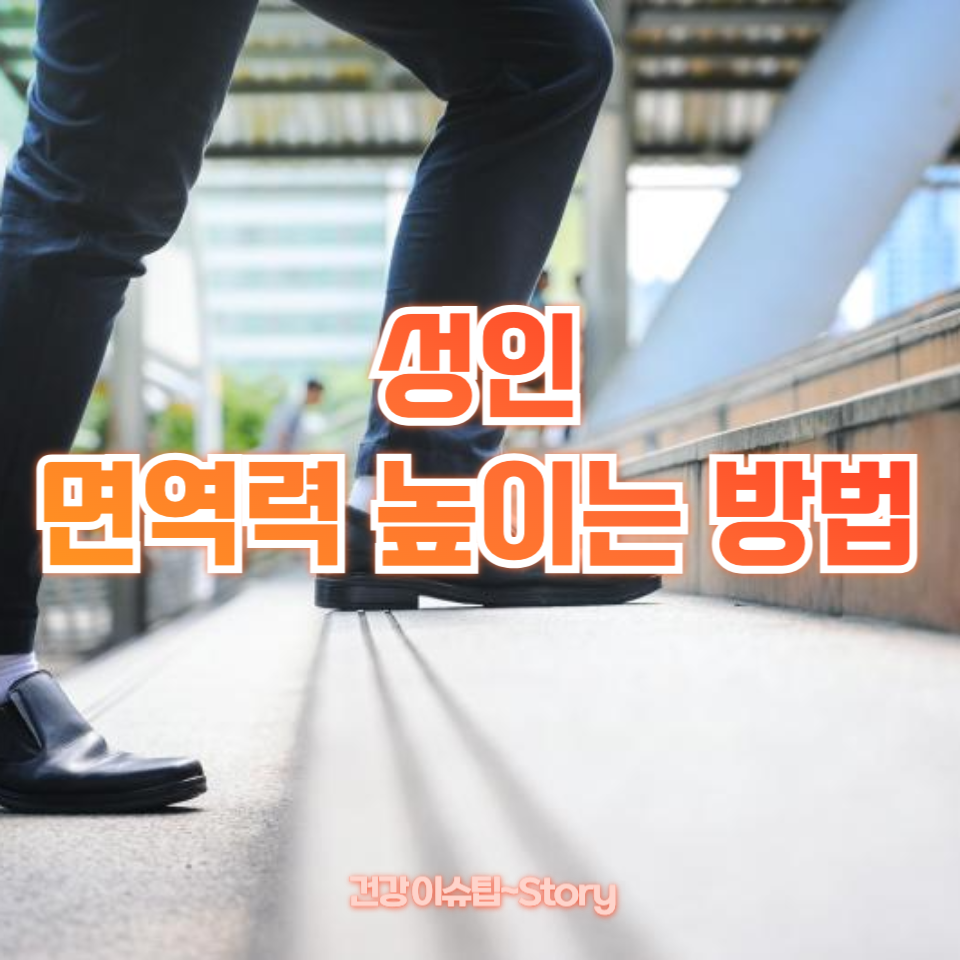 성인 면역력 높이는 방법