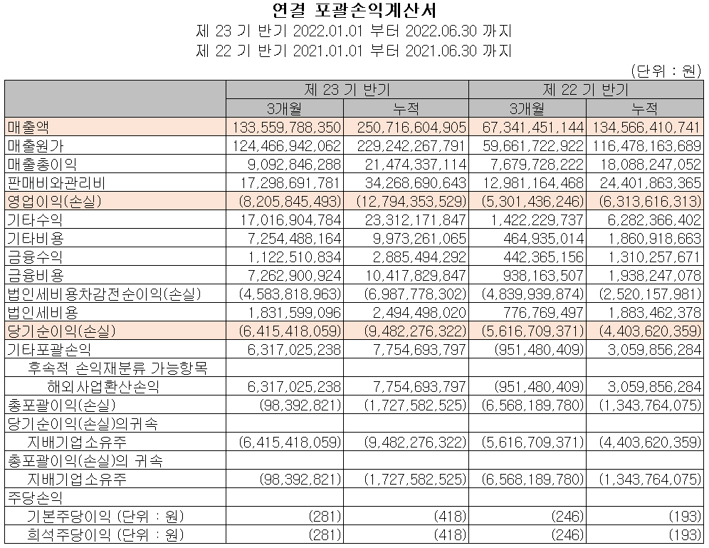 아이티엠반도체 - 손익계산서