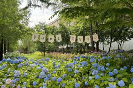 전라도 수국명소 추천 7곳, 수국이 만개한 아름다운 여름을 걷다