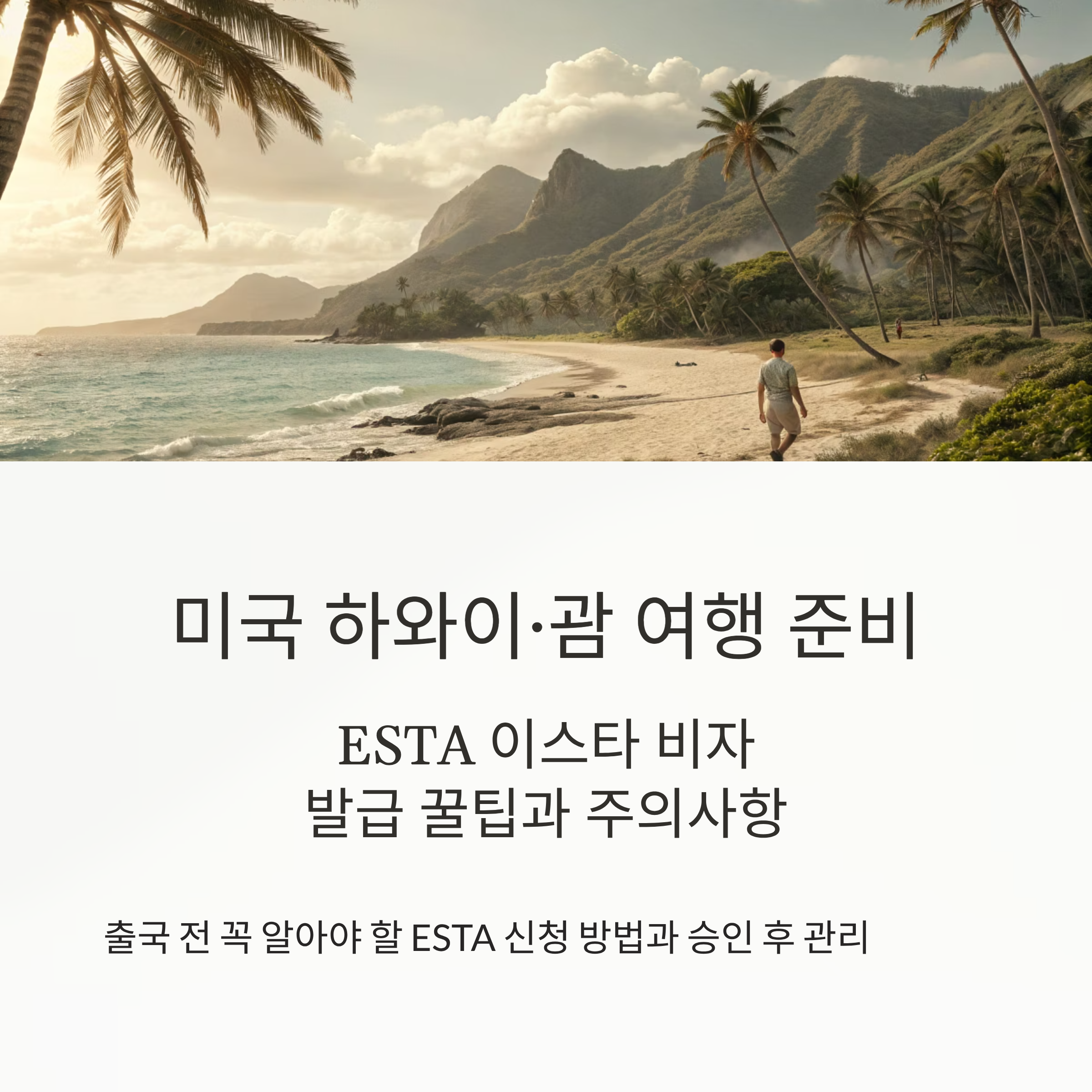 ESTA 이스타 비자 발급 꿀팁과 주의사항