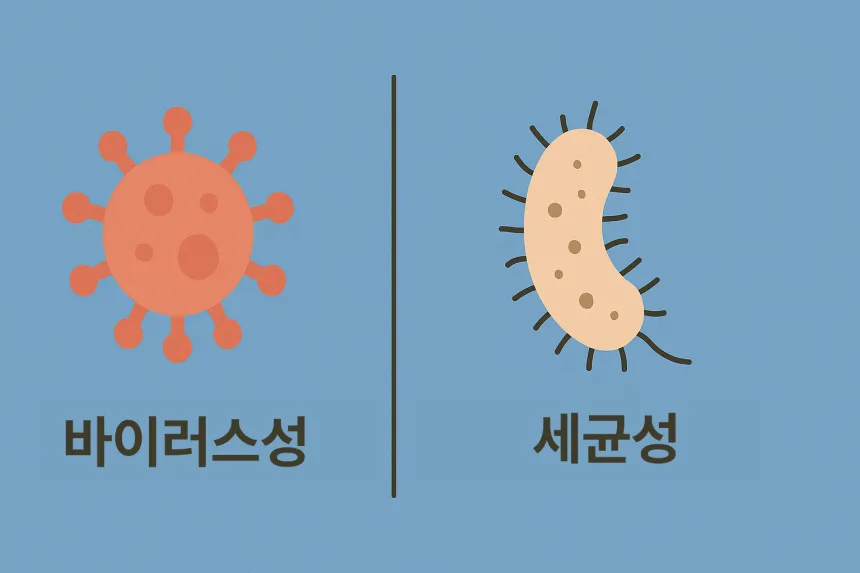 장염 원인