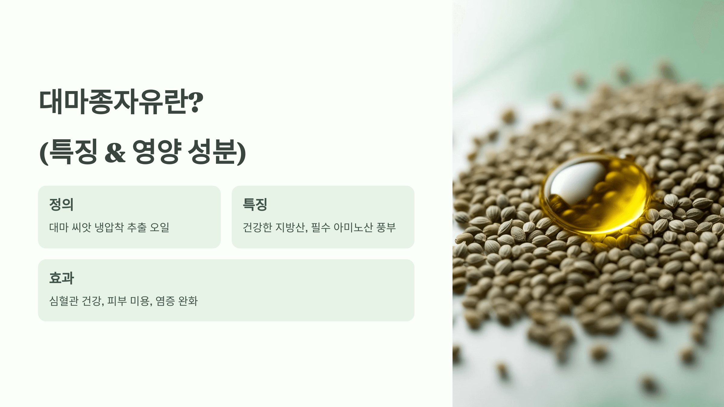 대마종자유 사진입니다.