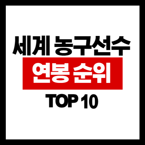2025년 세계 농구 선수 연봉 TOP 20: 10위부터 1위까지