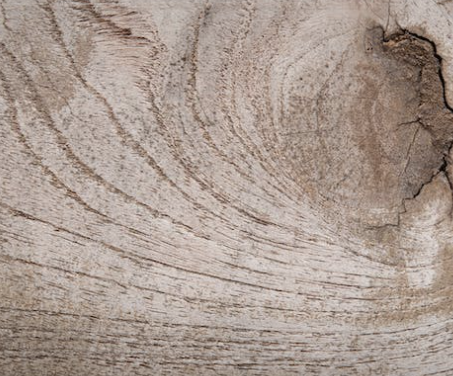 벽면 나무 인테리어