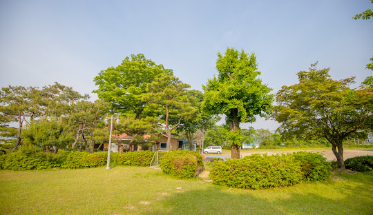 옥천성당-6