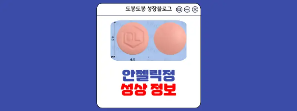 안젤릭정 성상 정보 이미지