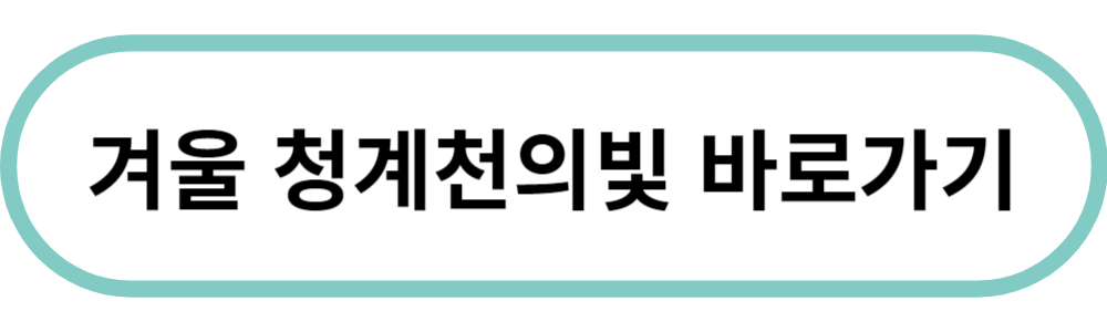 겨울축제 겨울, 청계천의 빛