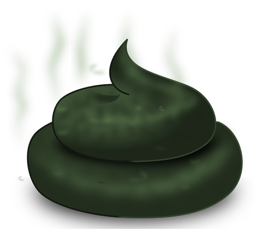 성인 녹색변 증상&amp;#44; 원인&amp;#44; 변 색깔에 따른 건강상태