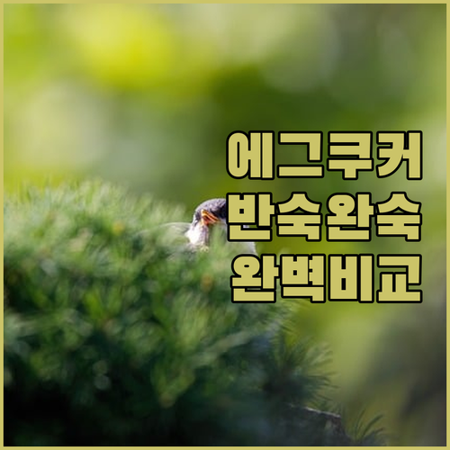 에그쿠커 반숙 완숙 조리법과 위생적인..