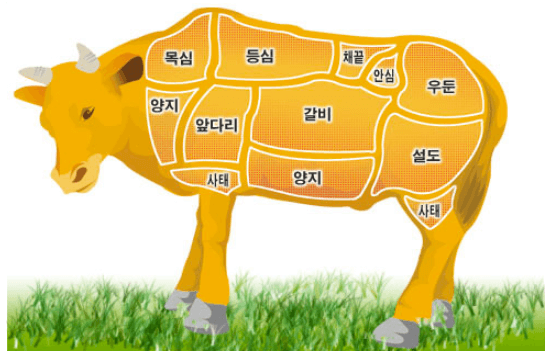 소고기 부위별 명칭과 용도