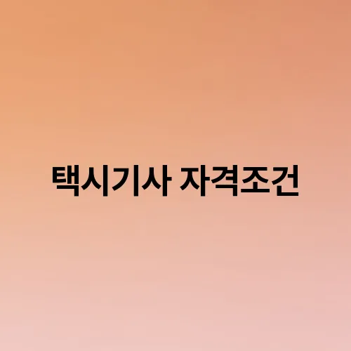 택시기사 자격조건