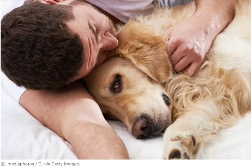 굿바이!...우리 댕댕이!..."그동안&nbsp;고마웠어"&nbsp;: 죽음 대처법