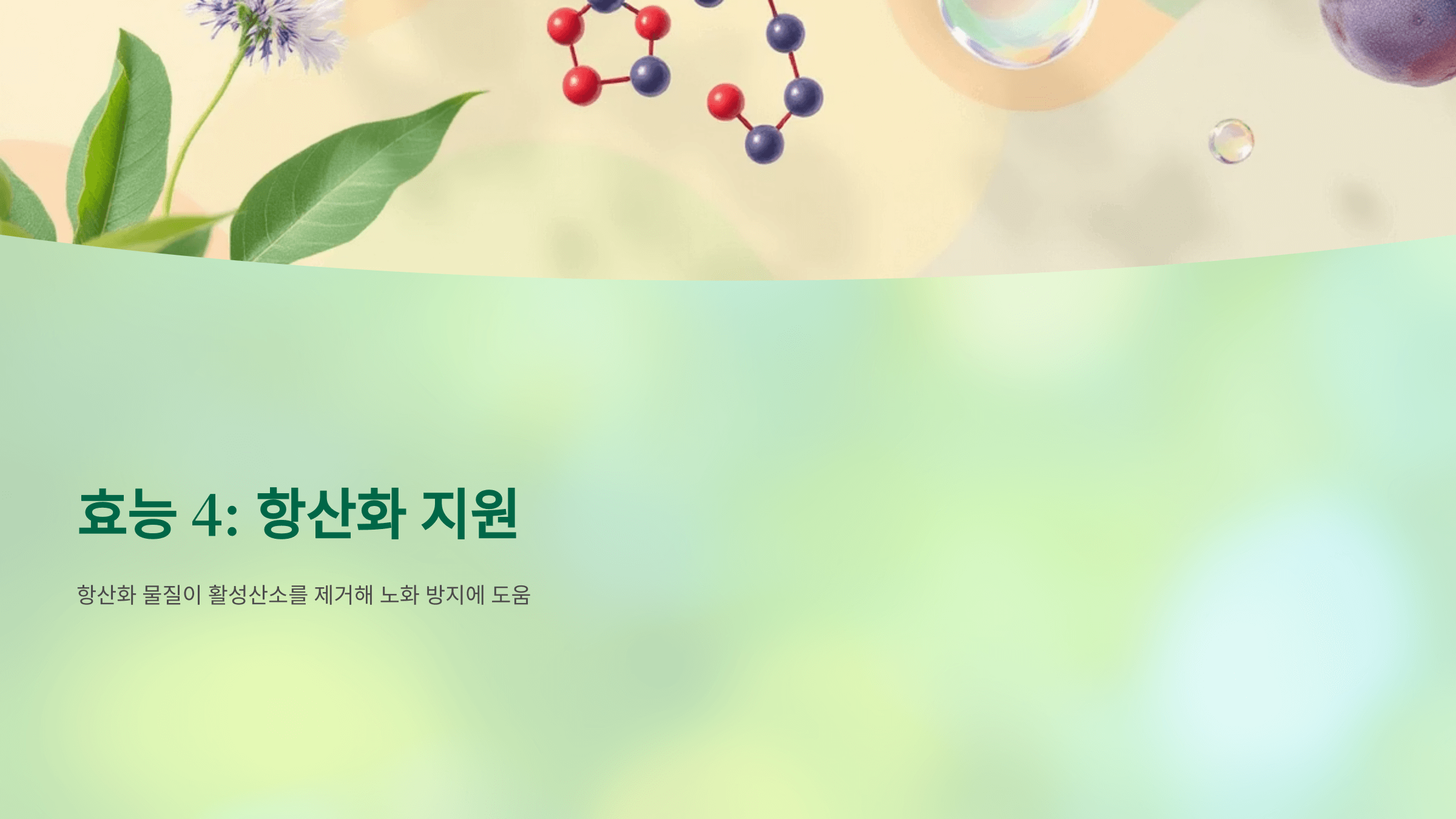 매실청 사진입니다.