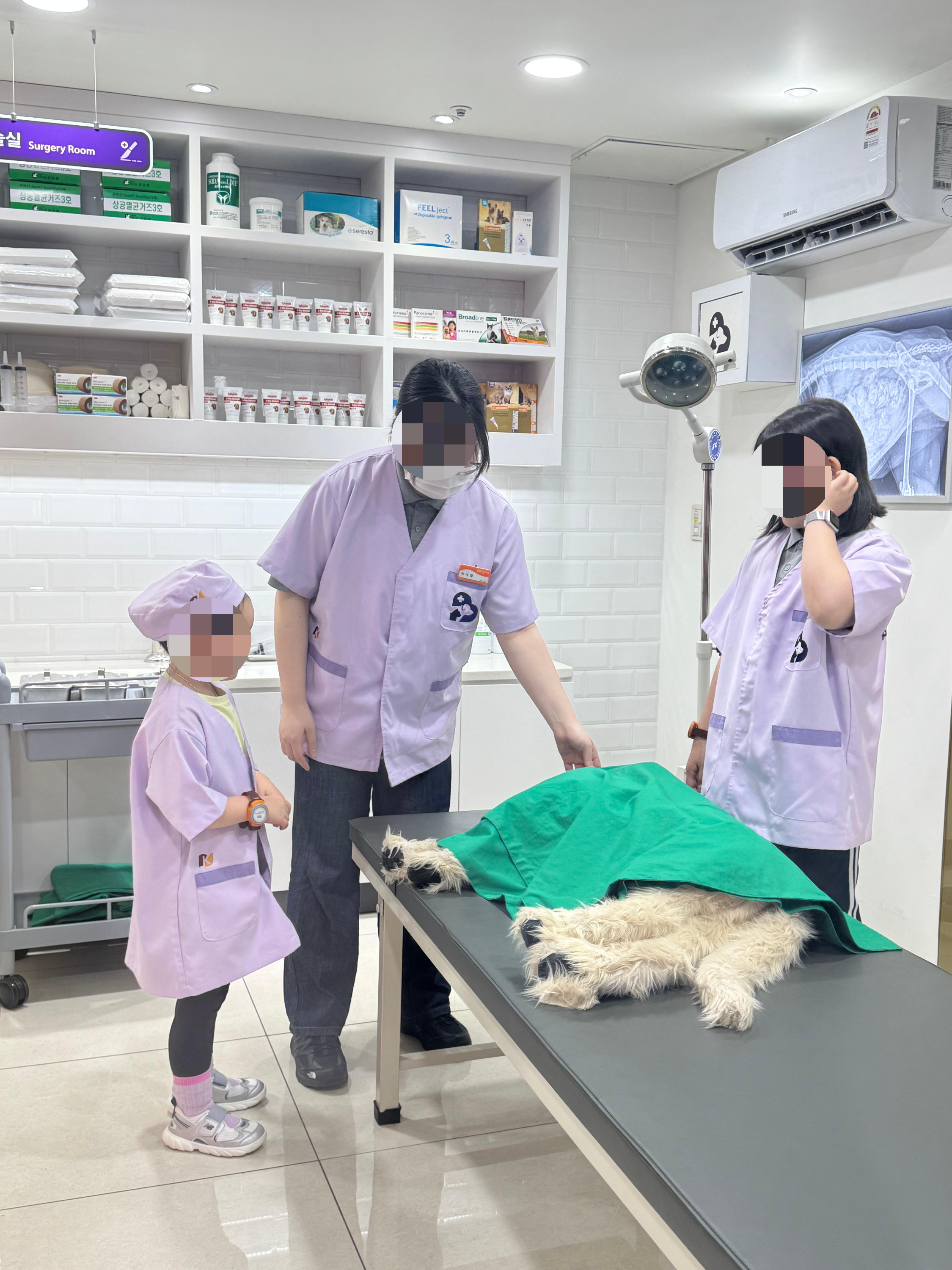 반려동물케어센터 관련