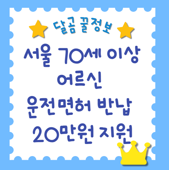 70세 운전면허 반납 지원